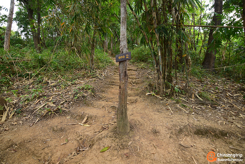 อุทยานแห่งชาติพุเตย หนึ่งเดียวในสุพรรณบุรี อยากวัดใจ ต้องไปลอง