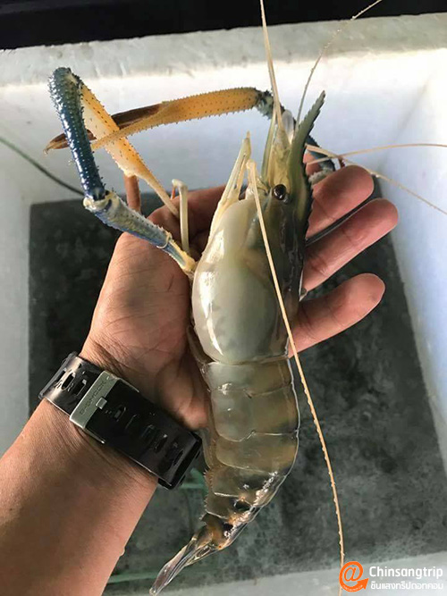 อุทยานแห่งชาติพุเตย หนึ่งเดียวในสุพรรณบุรี อยากวัดใจ ต้องไปลอง_001