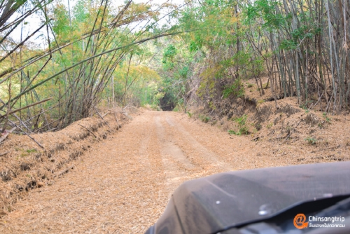 อุทยานแห่งชาติพุเตย หนึ่งเดียวในสุพรรณบุรี อยากวัดใจ ต้องไปลอง_024