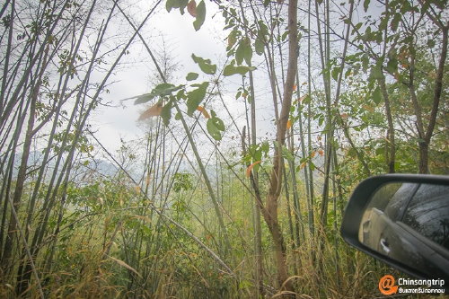 อุทยานแห่งชาติพุเตย หนึ่งเดียวในสุพรรณบุรี อยากวัดใจ ต้องไปลอง_030