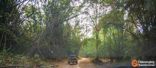 อุทยานแห่งชาติพุเตย หนึ่งเดียวในสุพรรณบุรี อยากวัดใจ ต้องไปลอง_032
