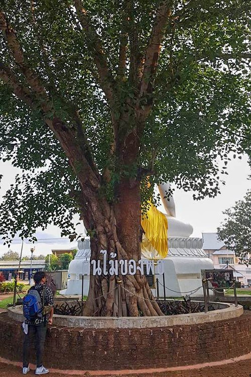 กรุงเทพฯ ไป ทองผาภูมิ มุ่งสู่ ปิล็อก โลกสวยในงบ 1500.- เที่ยวได้จริงหรอวะ???_14