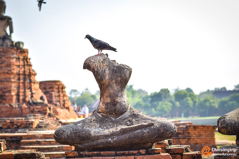 Driving to Ayutthaya for 1 day, going in the morning and returning in the afternoon_20