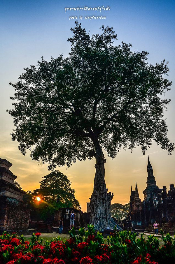 อุทยานประวัติศาสตร์สุโขทัย_2