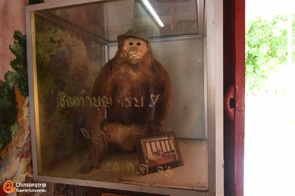 วัดป่าโมกวรวิหาร_10