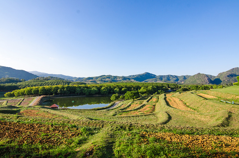 ไร่บุญรอด (Boonrawd Farm)_1