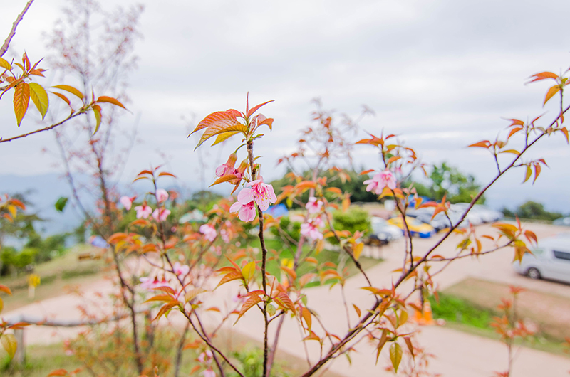Khun Sathan National Park_2