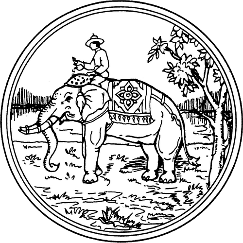 Seal_Tak