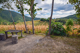 หน่วยพิทักษ์อุทยานฯ พุเตยที่ 3 (ตะเพินคี่)